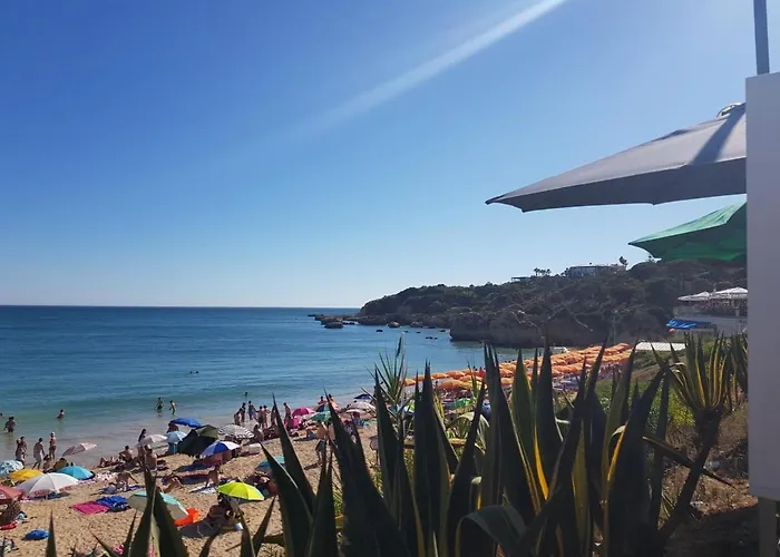 Candyland البوفيرا